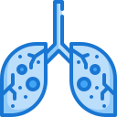 pulmones icon