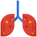 pulmones