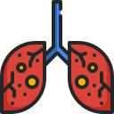 pulmones icon