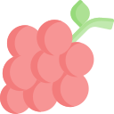 uvas icon