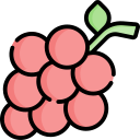 uvas icon