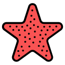 estrella de mar 