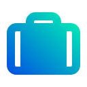 bolsa icon