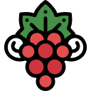 uvas icon