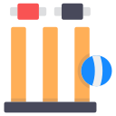 Wicket icon