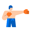 boxeo icon