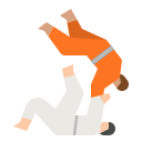 judo icon