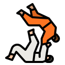 judo icon