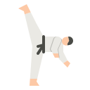 taekwondo icon