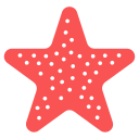 estrella de mar 