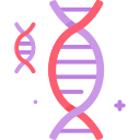 estructura del adn icon