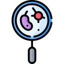 lupa icon