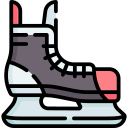 patines icon