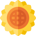 girasol icon