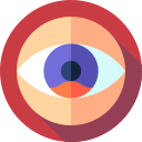 ojo icon