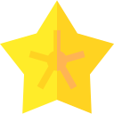 estrella de mar