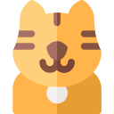 gato 