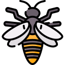 abeja