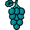 uvas icon