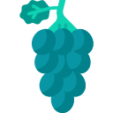 uvas icon