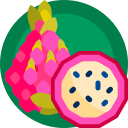 pitaya icon