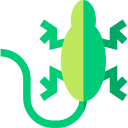 lagarto icon