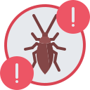 cucaracha