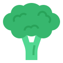 brócoli icon