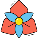 orchidée 