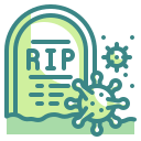 muerte icon