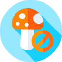 hongos icon