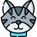 gato icon