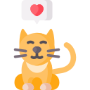 gato