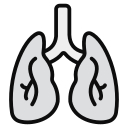 pulmones