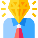 vip icon