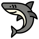 tiburón icon