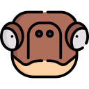 tortuga icon