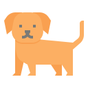 perro icon