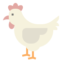 gallina icon