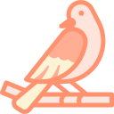 pájaro icon