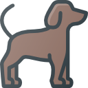 perro icon