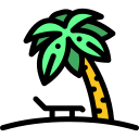 palmera