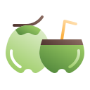 bebida de coco icon