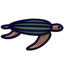 tortuga icon