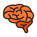 cerebro icon