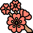 sakura icon