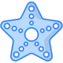 estrella de mar 