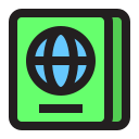 pasaporte icon