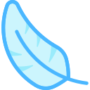 pluma icon