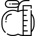 Apple icon